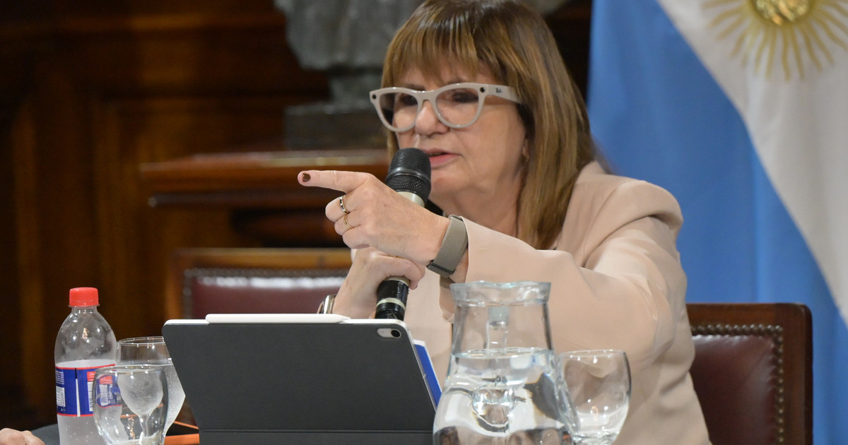 Patricia Bullrich habla en una conferencia de prensa