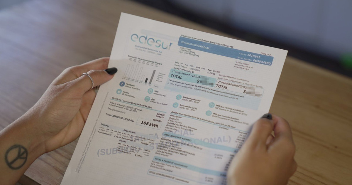 Formulario de inscripción al subsidio de luz y gas en una computadora