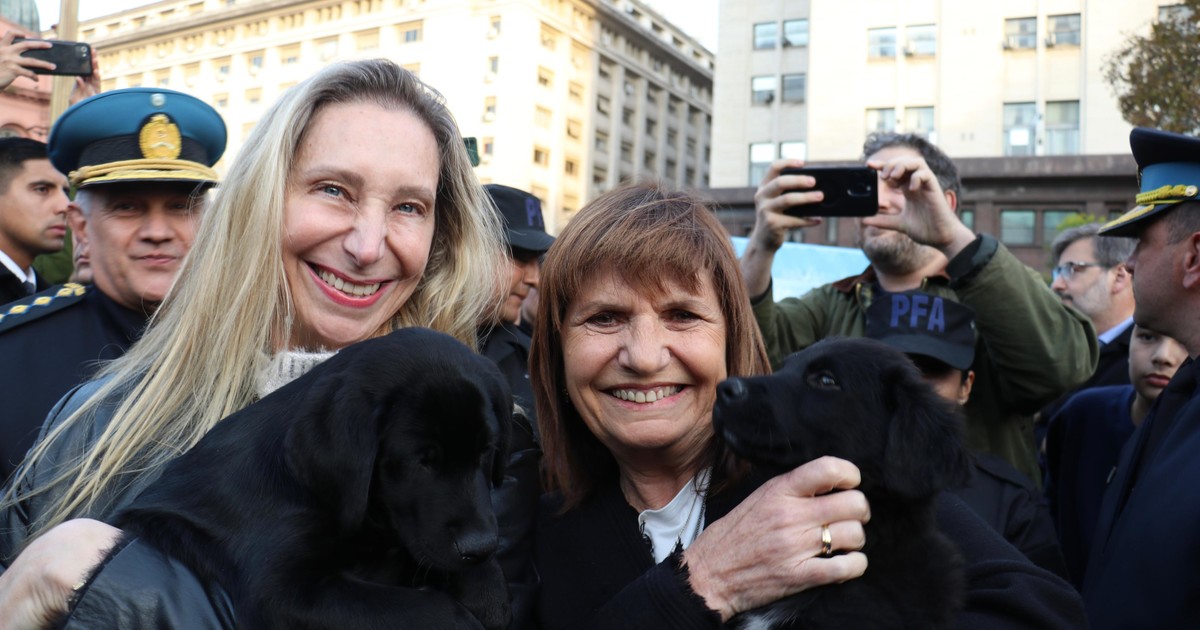 Karina Milei y Patricia Bullrich en una reunión oficial