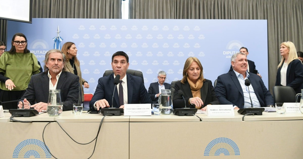 Sesión en la Cámara de Diputados de Argentina