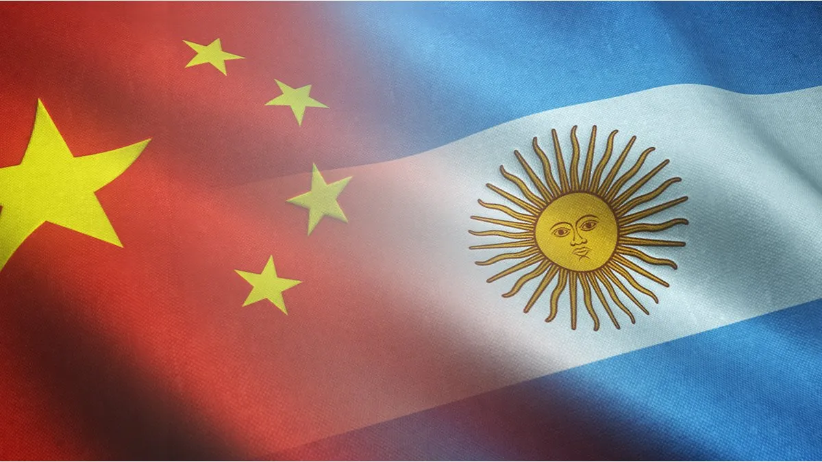 Barcos cargueros en un puerto con banderas de Argentina y China