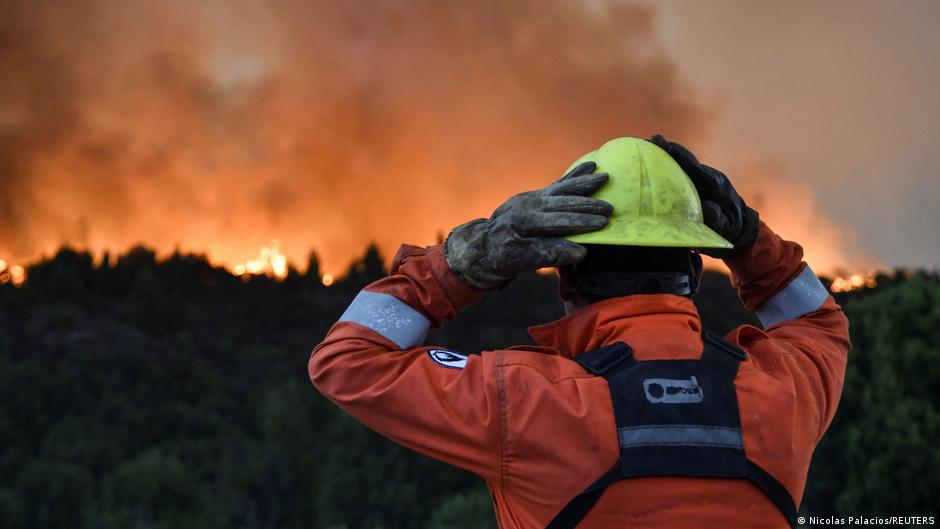 Bosque en llamas con cielo anaranjado por incendio forestal