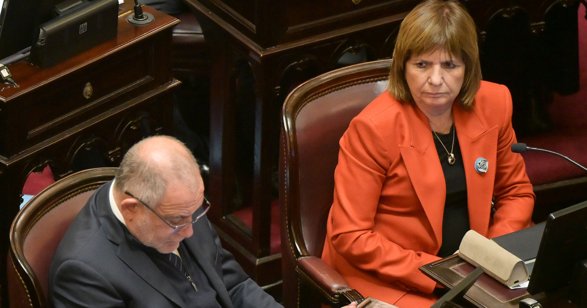 Senadores Patricia Bullrich y José Mayans en el recinto del Senado