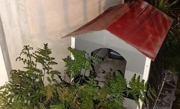 Policías detienen a un hombre esposado en la vía pública