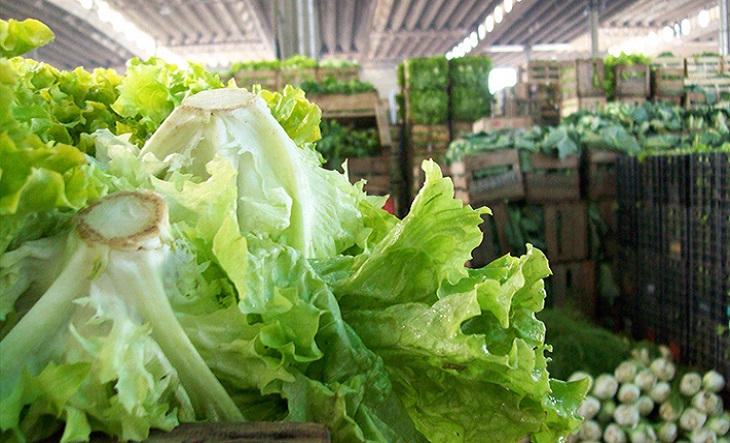 Verdulería con frutas y verduras variadas