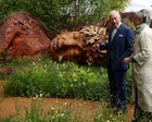 Mujer gigante tallada en un árbol caído en un jardín del Chelsea Flower Show