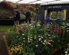 Jardín en el Chelsea Flower Show con flores coloridas y visitantes