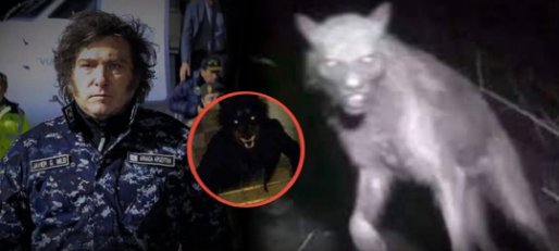 Silueta de un lobo bajo la luna llena en un paisaje nocturno