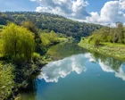 Vista del río Wye con vegetación en sus orillas
