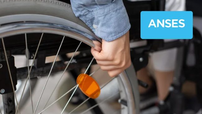 Persona con discapacidad en silla de ruedas junto a un adulto en un espacio público