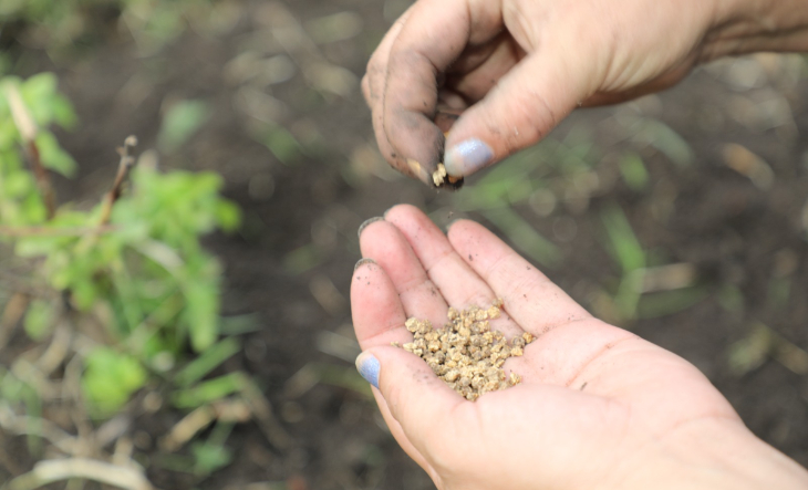 Kits de semillas para huerta agroecológica en La Matanza