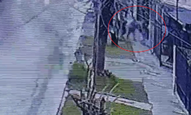 Cámara de seguridad capta el momento del asalto a una joven en la vía pública