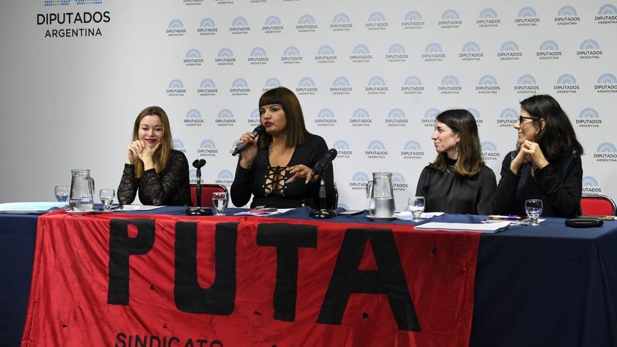 Georgina Orellano hablando en un panel en la Cámara de Diputados