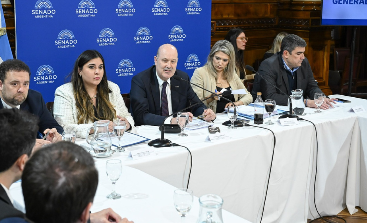 Federico Sturzenegger expone en el Senado