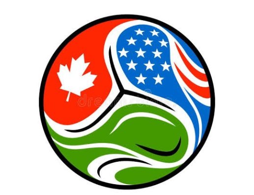 Estadio de fútbol con banderas de países durante el Mundial 2026
