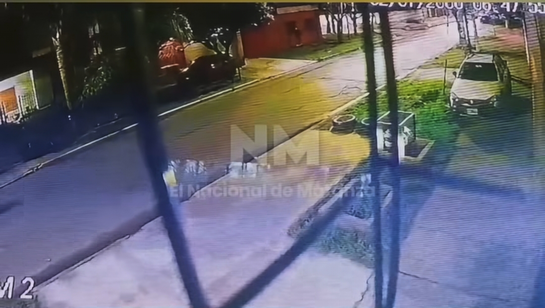 Cámara de seguridad capta a motochorros en Laferrere