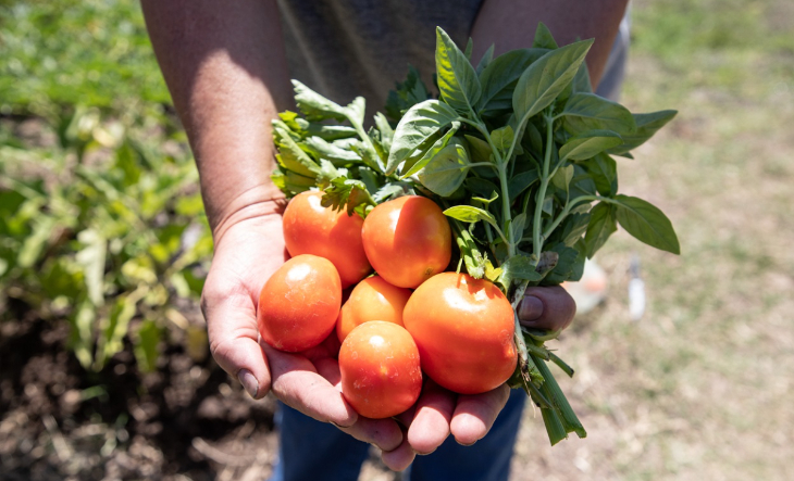 Vivero municipal con plantines y vecinos durante una capacitación sobre huerta agroecológica